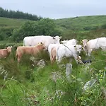 Rathbaun