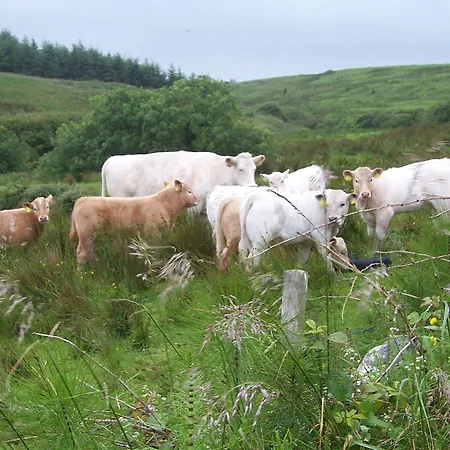 Rathbaun Lisdoonvarna